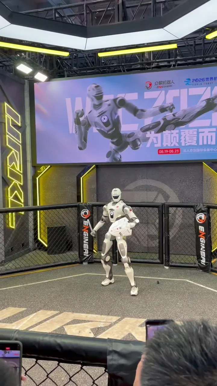 众擎 · 格斗机器人