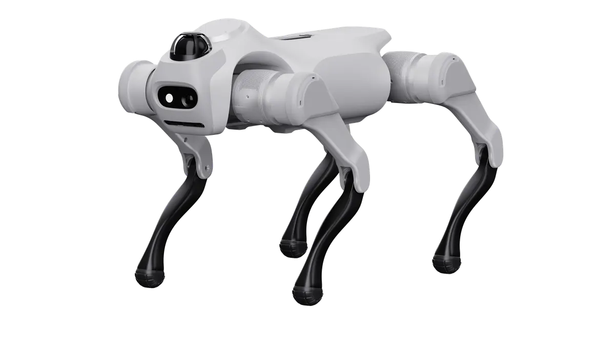 MagicDog T1