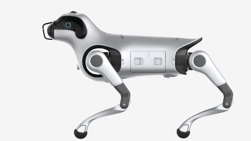 Amap Momentum ロボット犬チュチュ