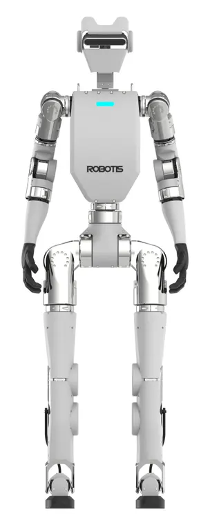 AI Sapiens