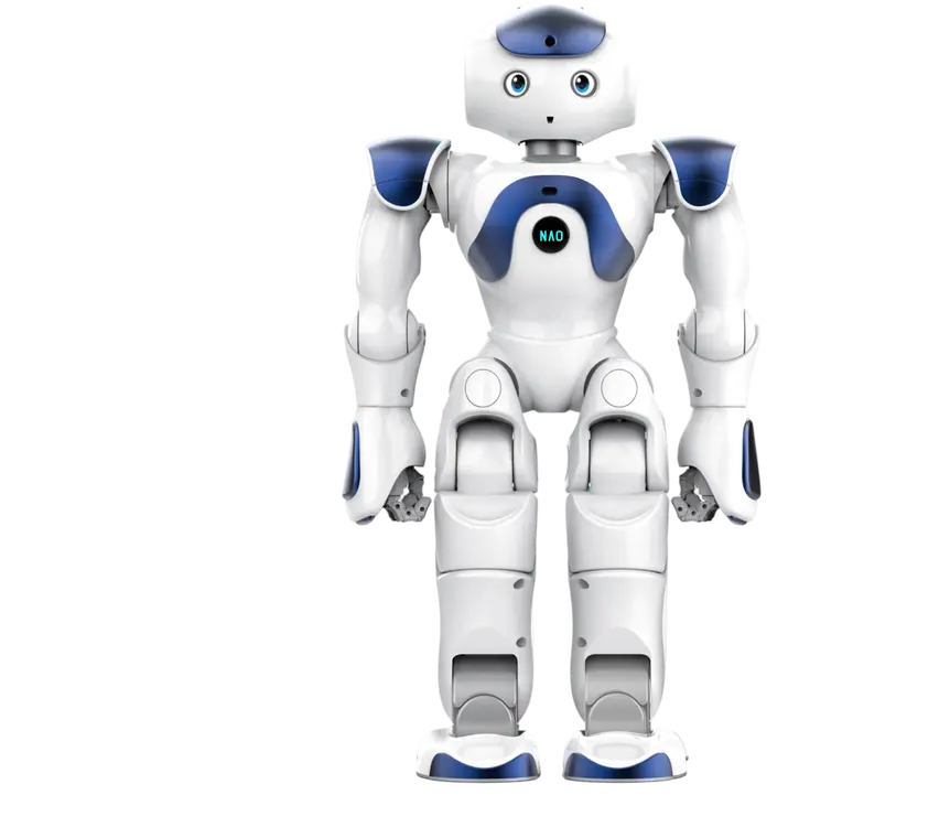 NAO Mini