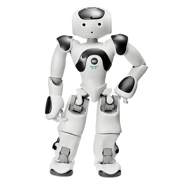 NAO 6